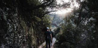 Trekking lewadą Levada do Caldeirão Verde i do Inferno: czas, tunele i ekwipunek Grupa turystów na zielonym szlaku lewady na Maderze